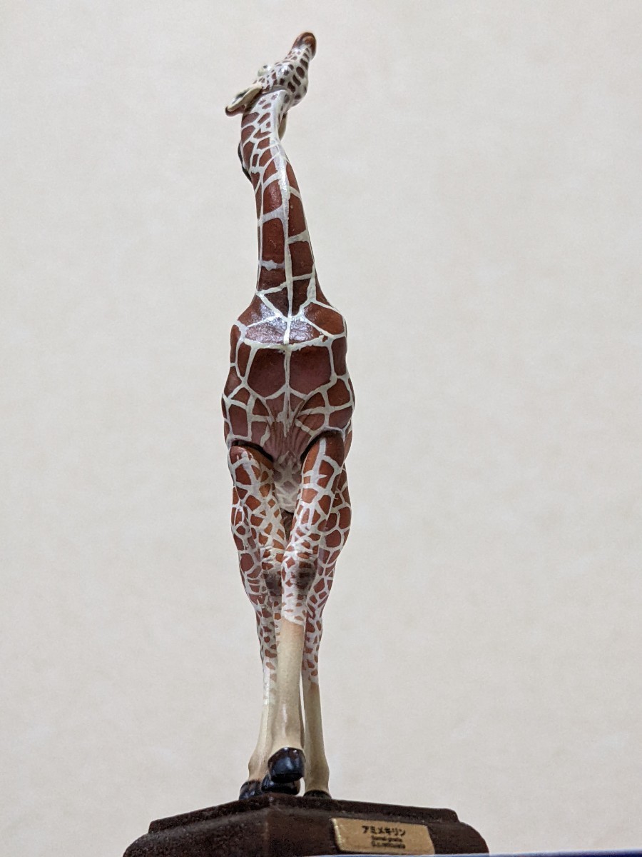 奇譚クラブトイズ ネイチャーテクニカラーサバンナ アミメキリン 