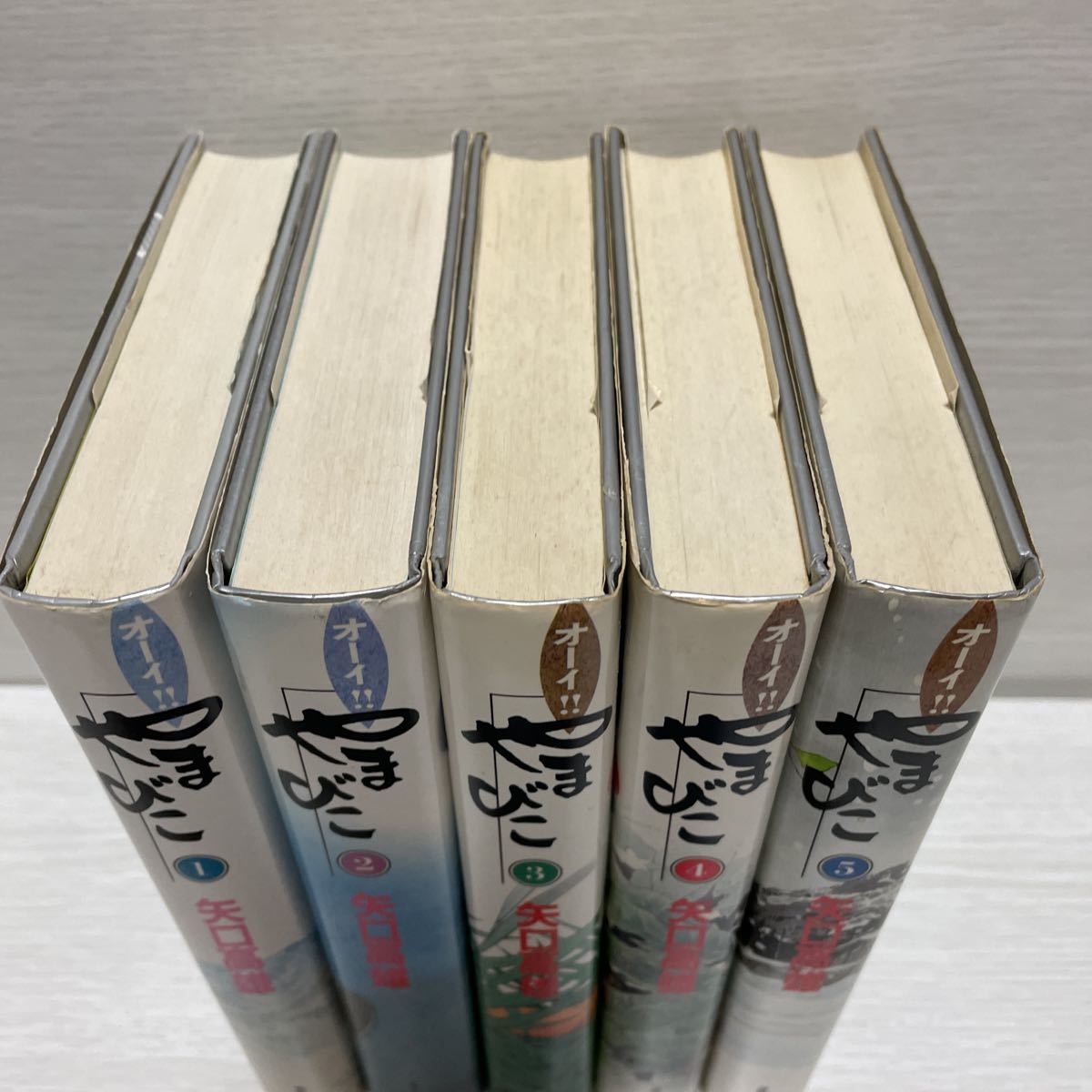 矢口高雄 | やまびこ 通販 オーイ!!やまびこ オーイ！やまびこ」全5巻 