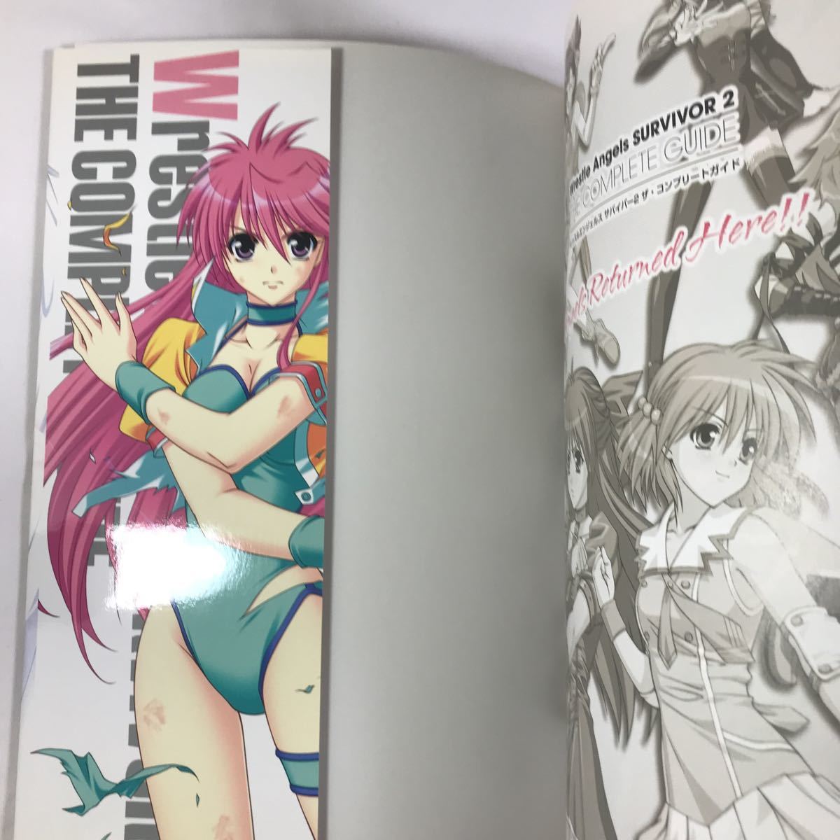 レッスルエンジェルスサバイバー2 ザコンプリートガイド／電撃 