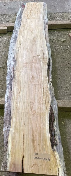 231 チェリー　一枚板　木裏