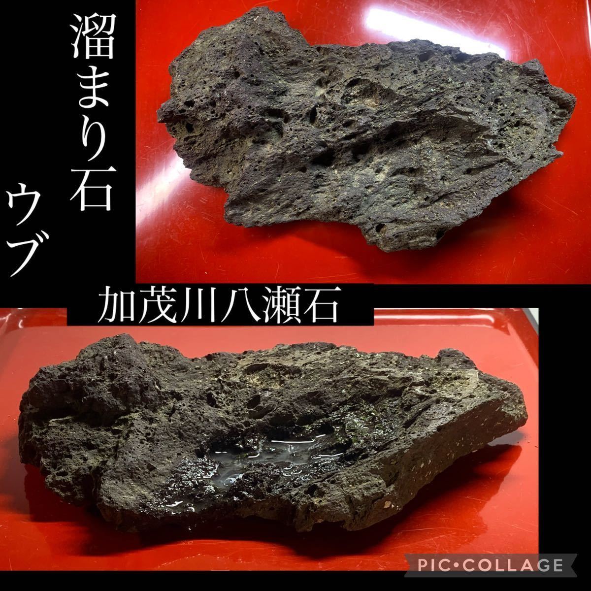 蛇石 3.2㌔ 鑑賞石 観賞石 水石 盆石 天然石 置物 蛇石 3.2㌔ 鑑賞石 観賞石 水石 盆石 天然石 置物