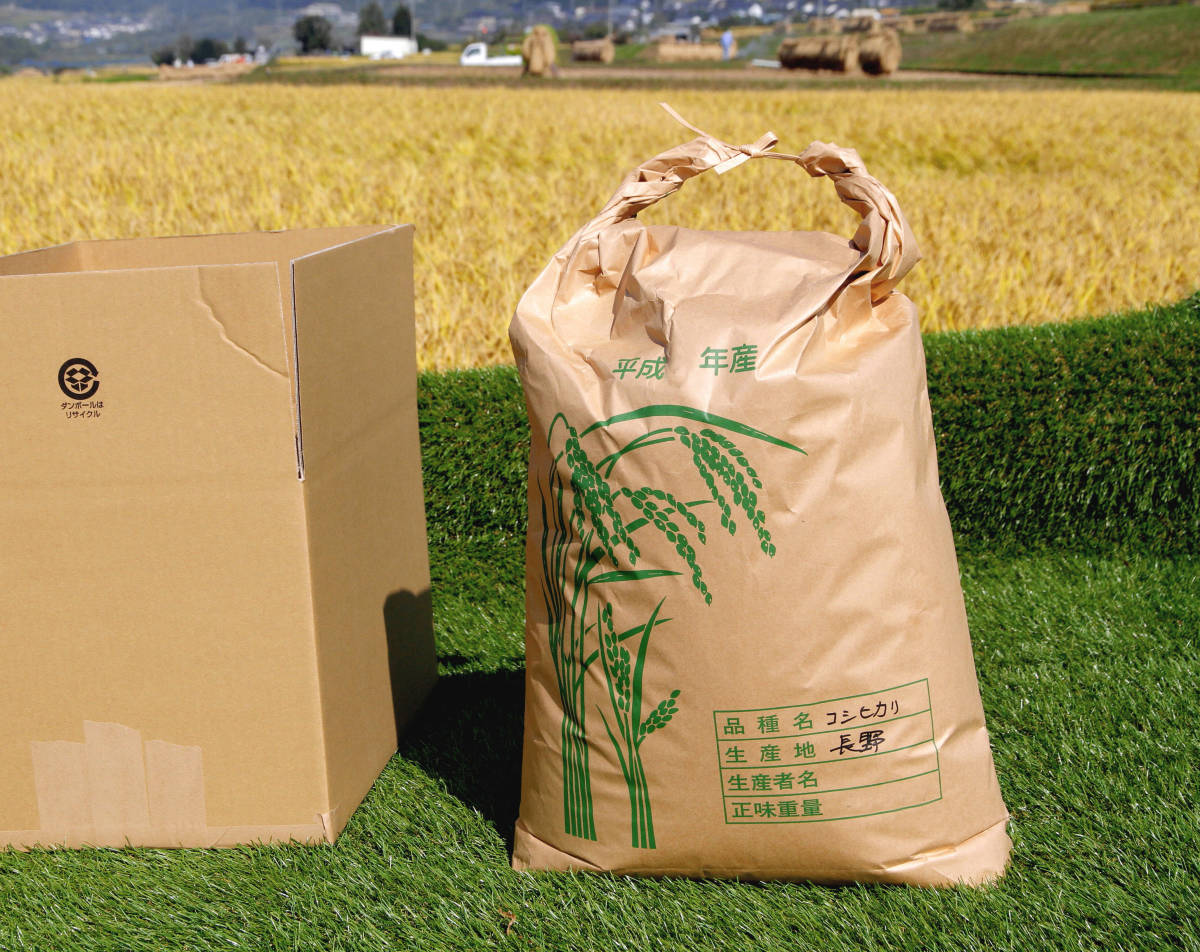 長野米　令和４年産　22ｋｇ（玄米）