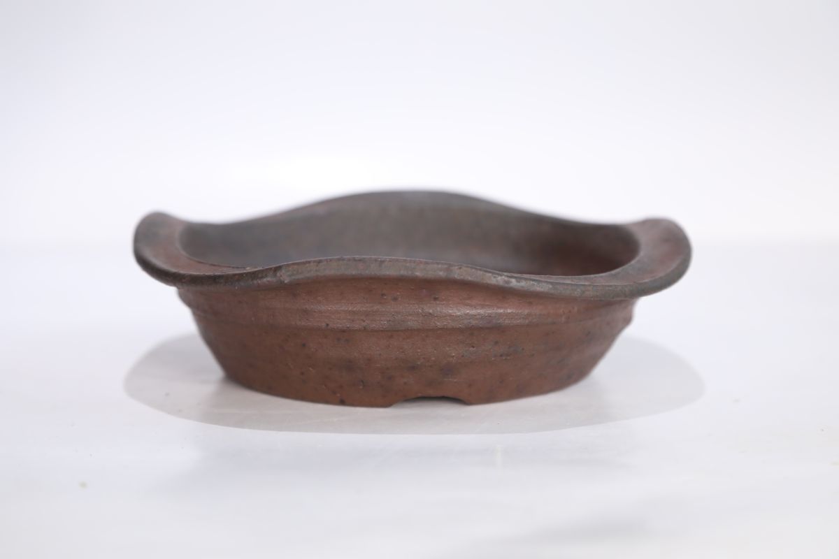 凡才南蛮丸鉢 | 盆栽、盆栽書籍、盆栽鉢の通販│近代出版