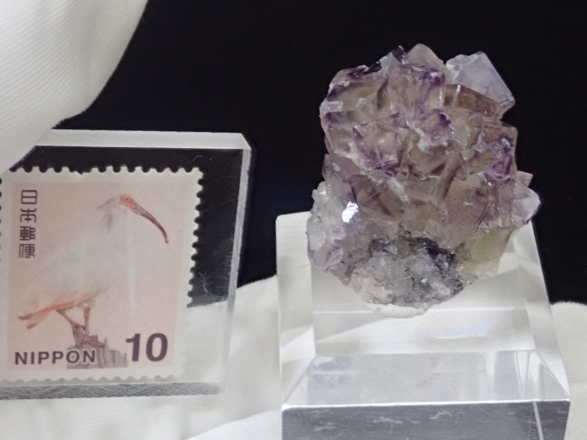 ナミビア・オコルス鉱山産 ブルーグリーン×パープル フローライト 蛍石