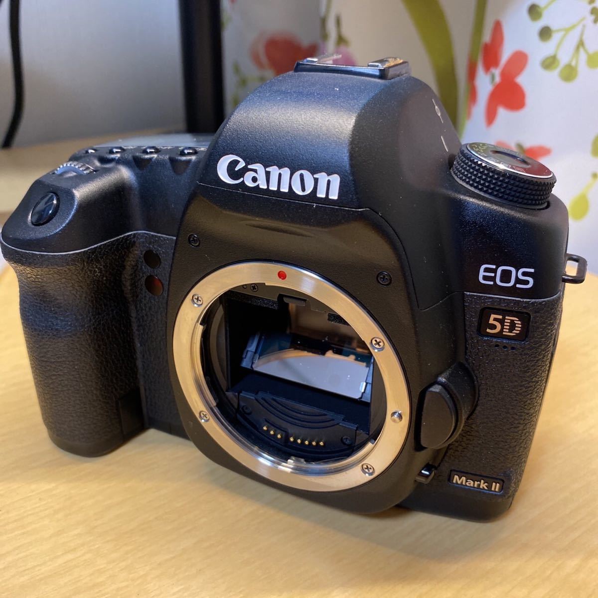 Canon キャノン EOS 5D Mark II シャッター数 約27878回 - メルカリ