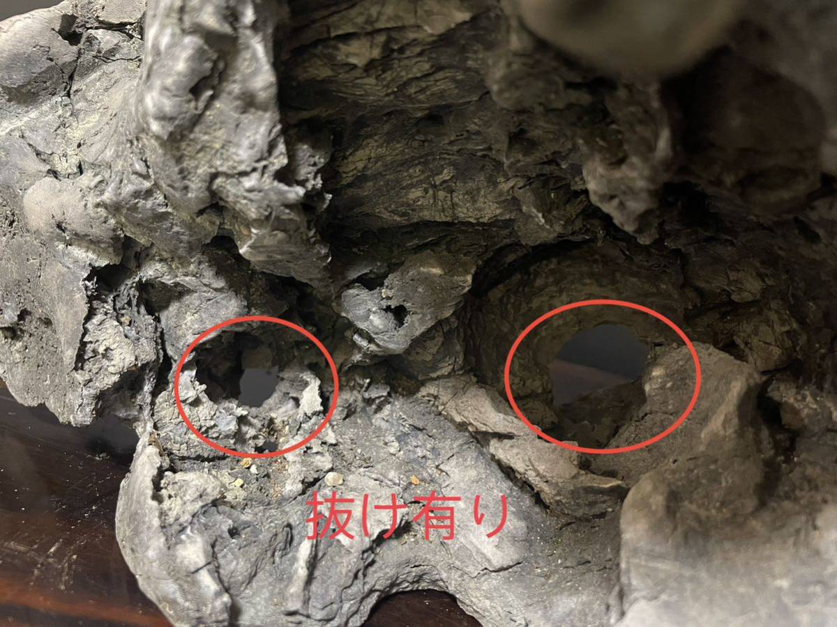 7.8kg 揖斐川真黒 竜眼石 龍岩石 龍眼石 リュウガンセキ 水石 自然石