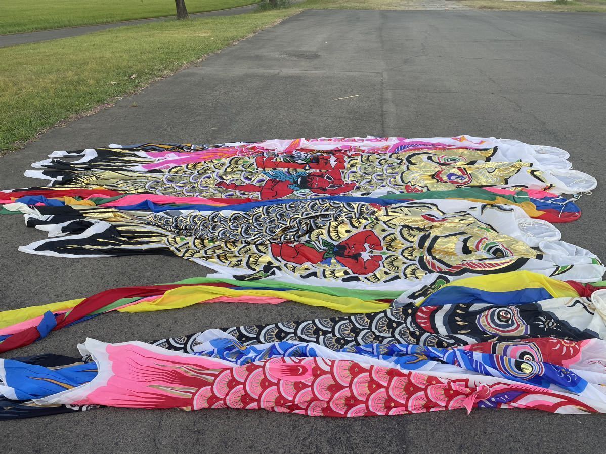 鯉のぼり こいのぼり フジサワ ナイロン青8m 鯉のぼり こいのぼり