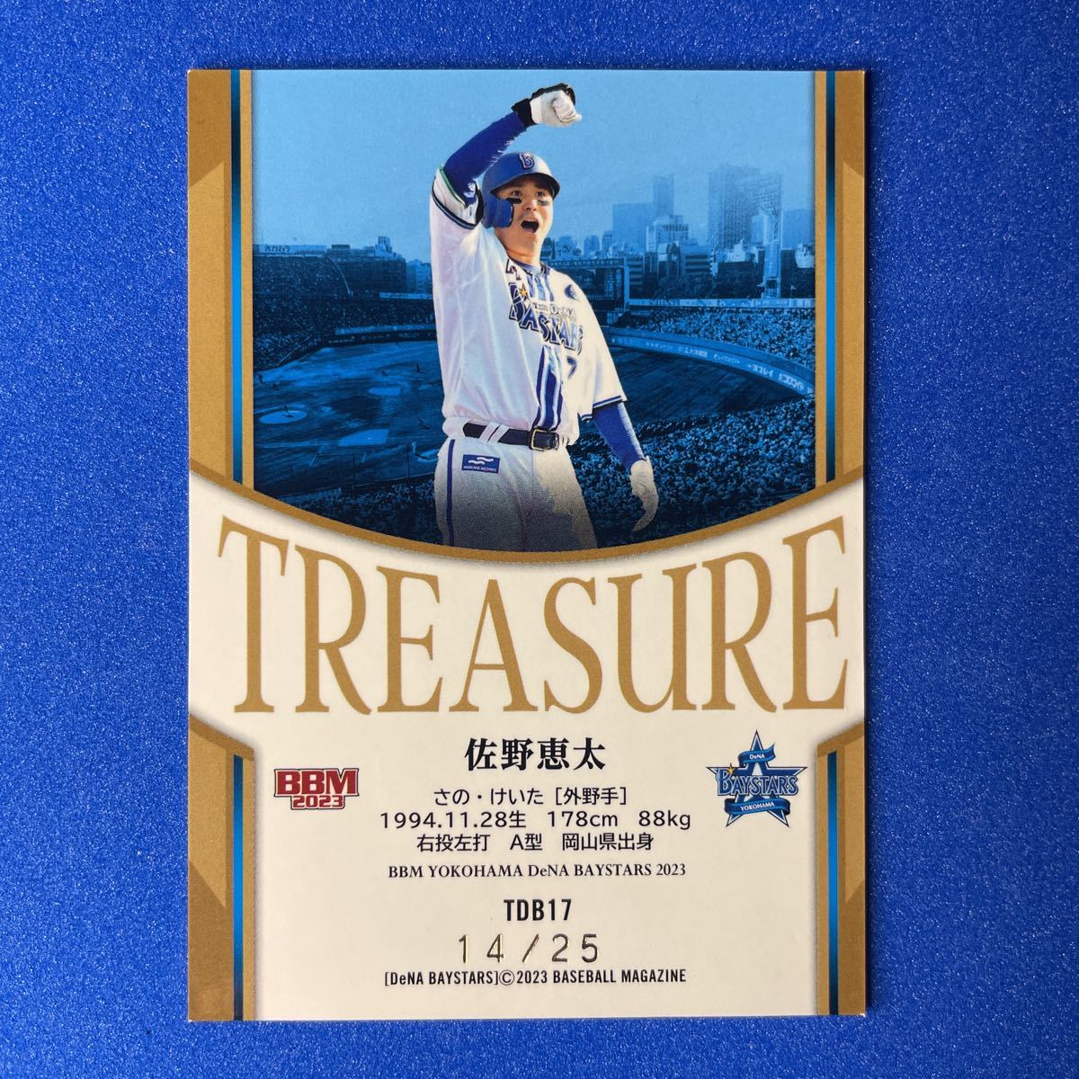 25枚限定】佐野恵太 2023 BBM 横浜DeNAベイスターズ TREASURE