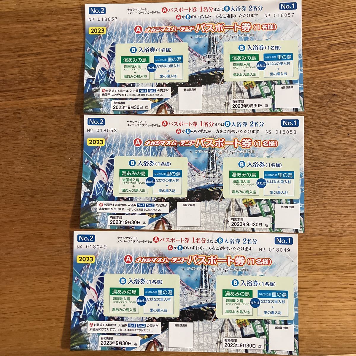 ナガシマスパーランド パスポート 3枚 ナガシマスパーランド