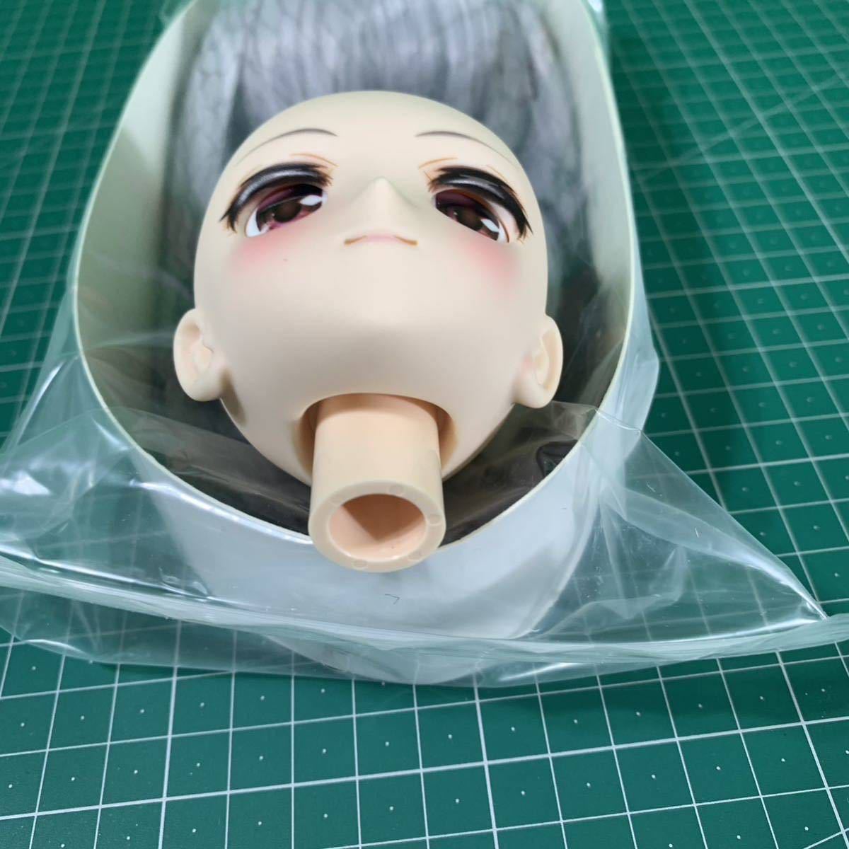 アゾン AZONE アイリスコレクト 1⁄3 レイラヘッドとボディ 未開封 衣装