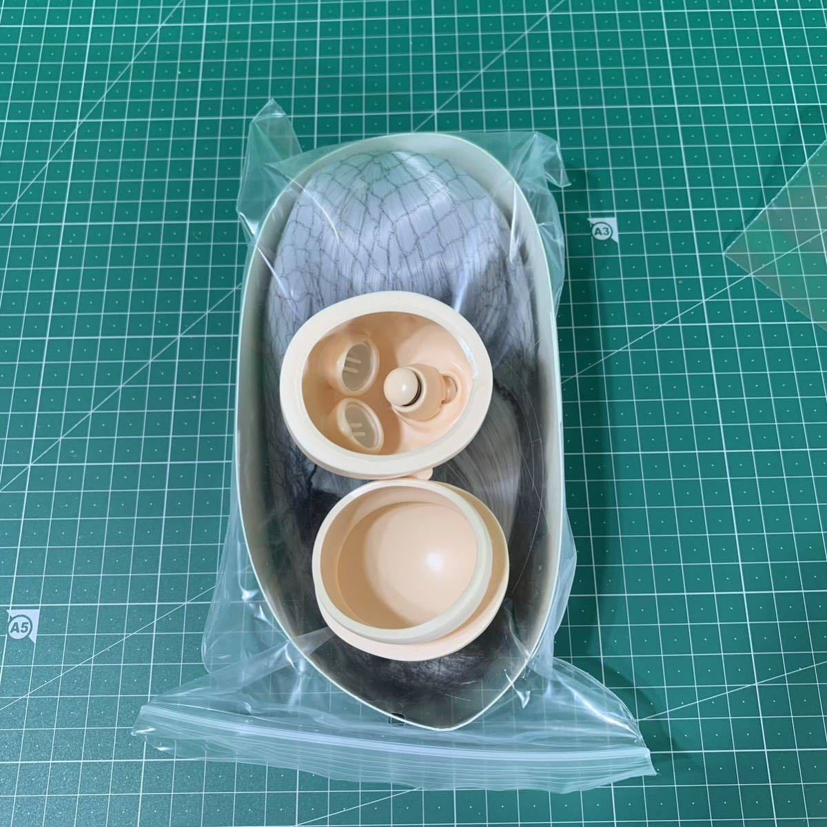 アゾン AZONE アイリスコレクト 1⁄3 レイラヘッドとボディ 未開封 衣装