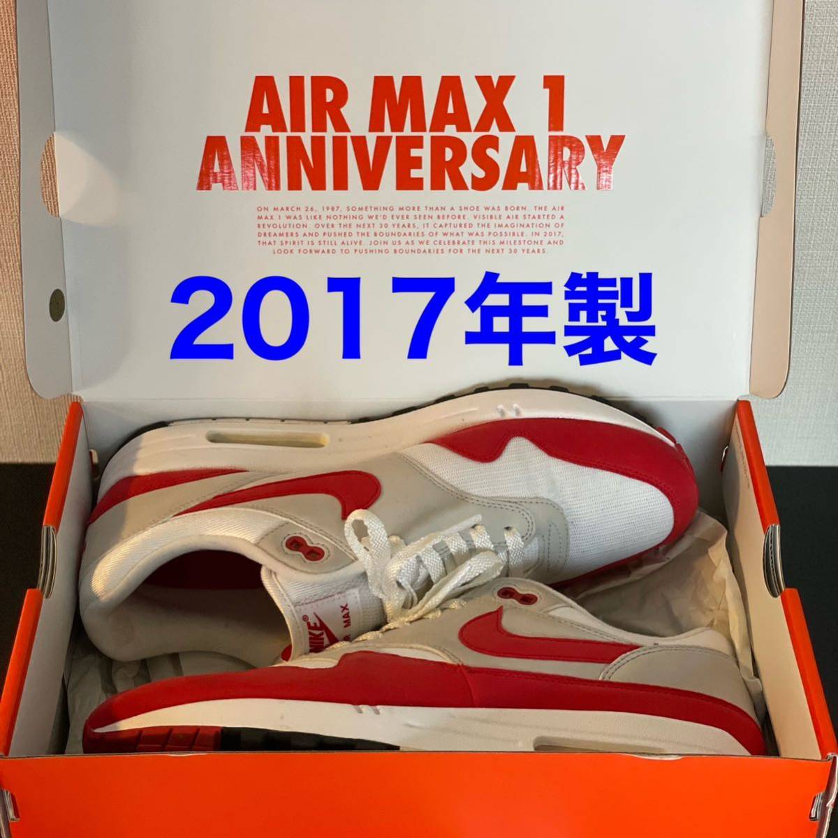 2017年製 Nike Air Max 1 ANNIVERSARY US11 29 29.0 エアマックス アニバーサリー ナイキ