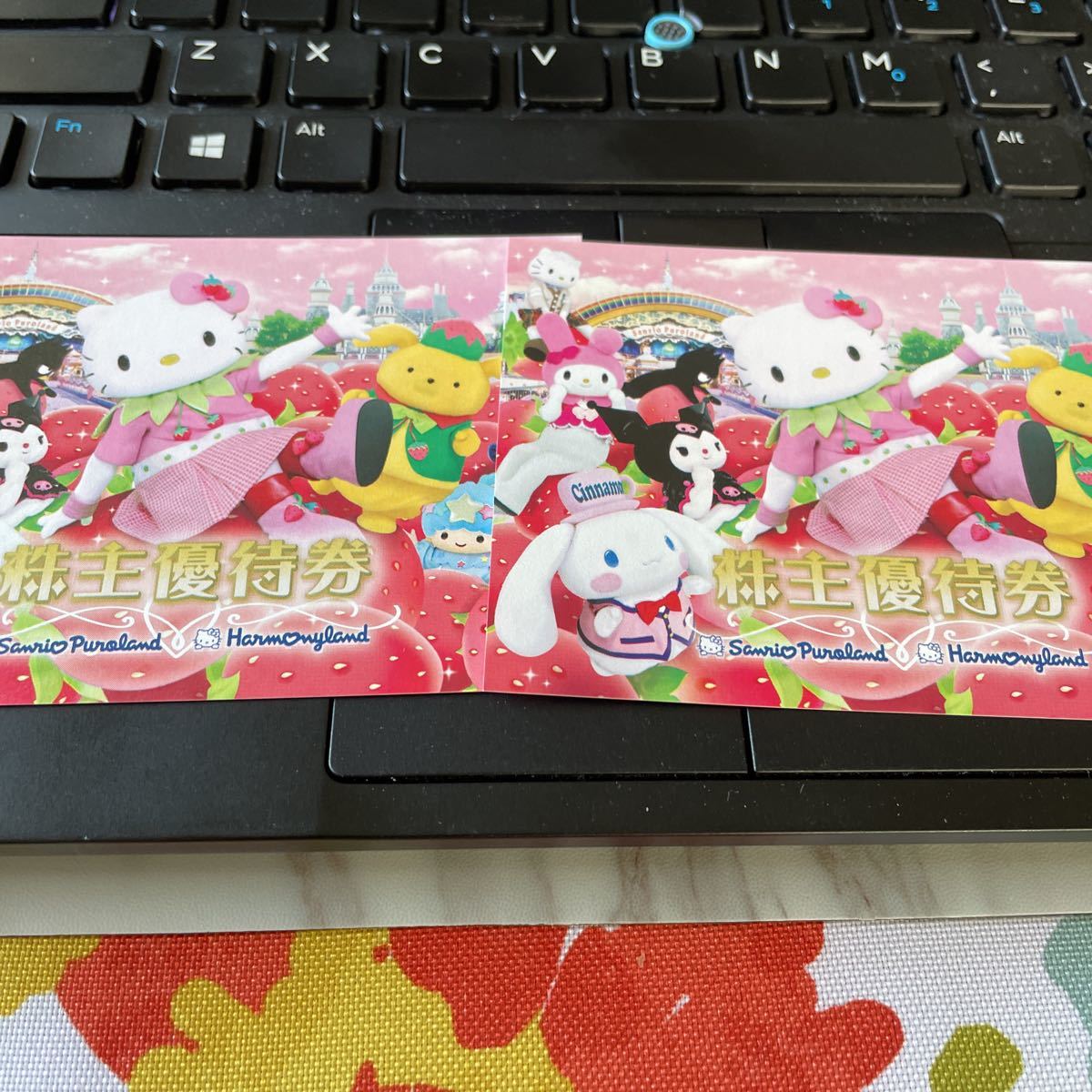 サンリオピューロランド 優待券二枚　24.01.31まで。