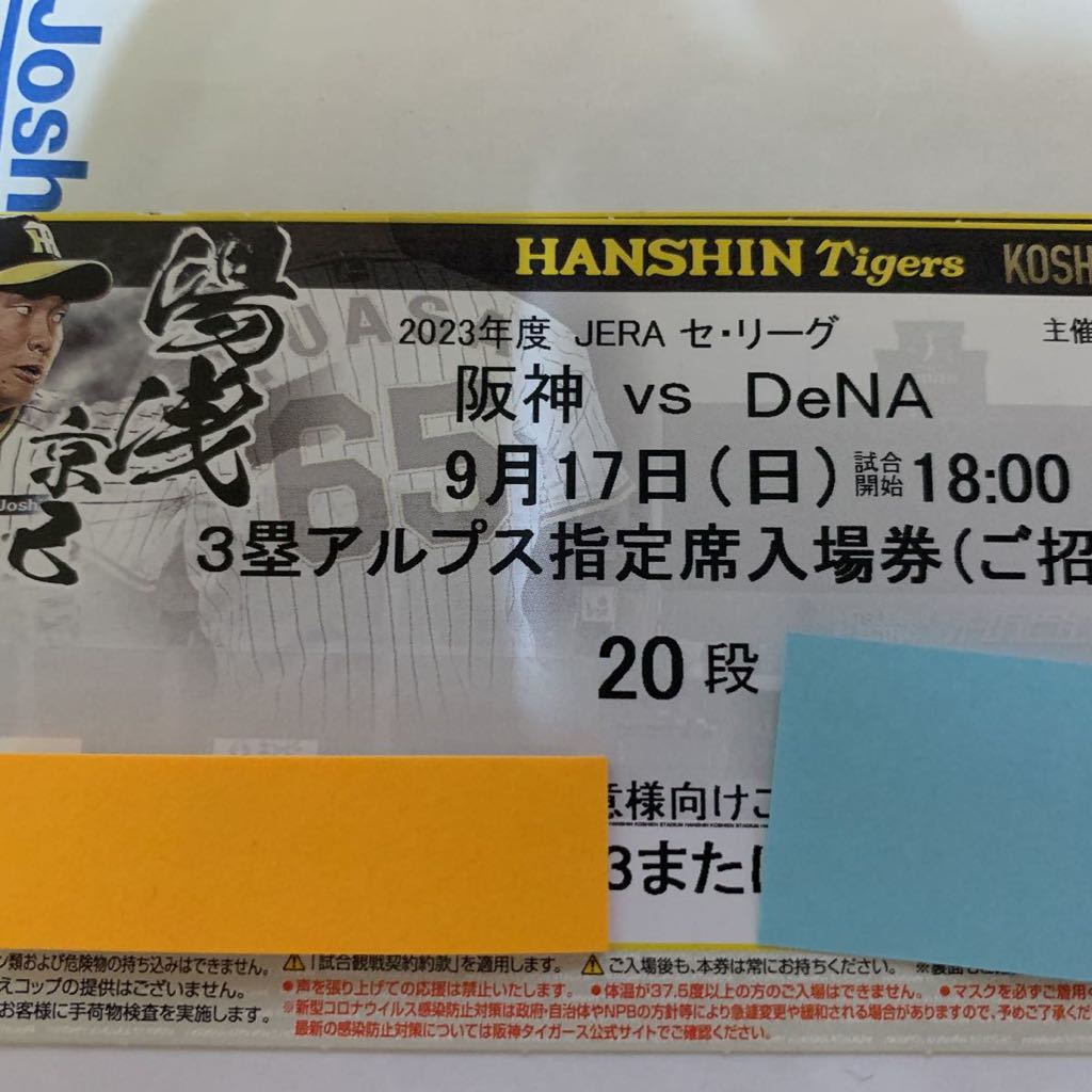 野球観戦チケット 甲子園 阪神 DeNA