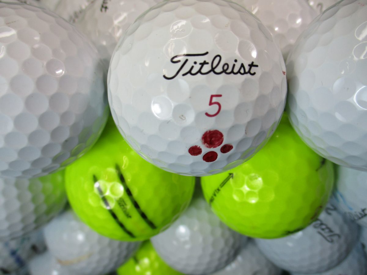 6019【特A２級】タイトリスト Titleist PROV1/PROV1X [イエロー/ホワイト] 50個