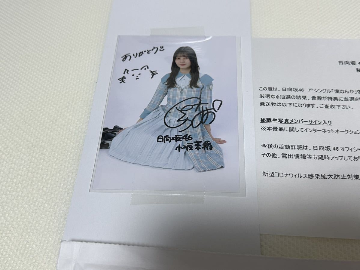 貴重】日向坂46 小坂菜緒直筆サイン 貴重】日向坂46 小坂菜緒直筆サイン