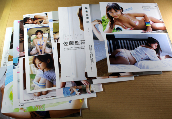 切り抜き グラビア 27ページ 天木じゅん わちみなみ 村上友梨 片岡沙耶 和地つかさ 柳いろは 奈月セナ 佐藤聖羅 他 安心の匿名取引_1