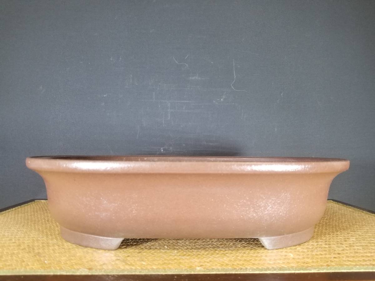 盆栽 鉢 秀峰 幅28.4cm 【公式通販】