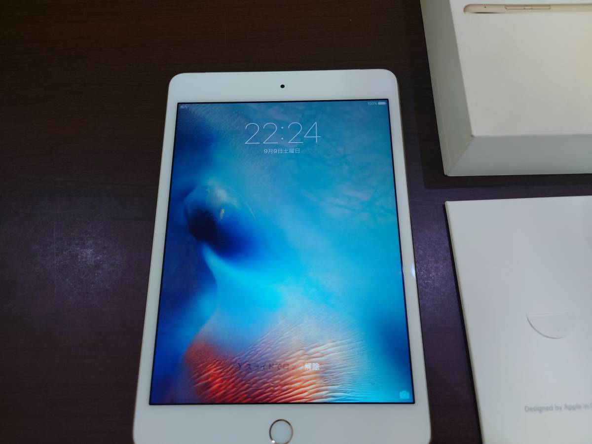 iPad Wi-Fi + Cellularシルバー 初期化済み 動作確認OK iPad Wi-Fi +