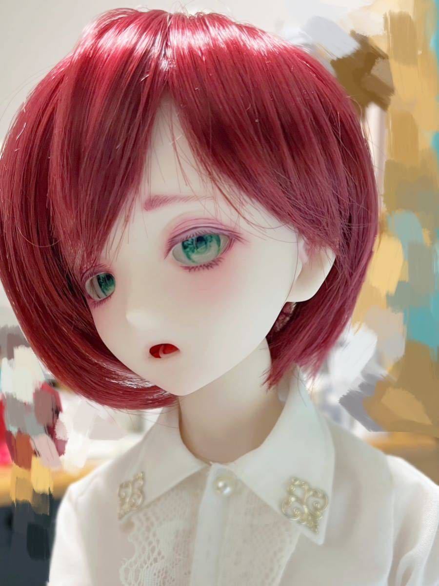 つきなみ*DDH-07 sw肌カスタムヘッド+カボションアイ2組+ウィッグ【