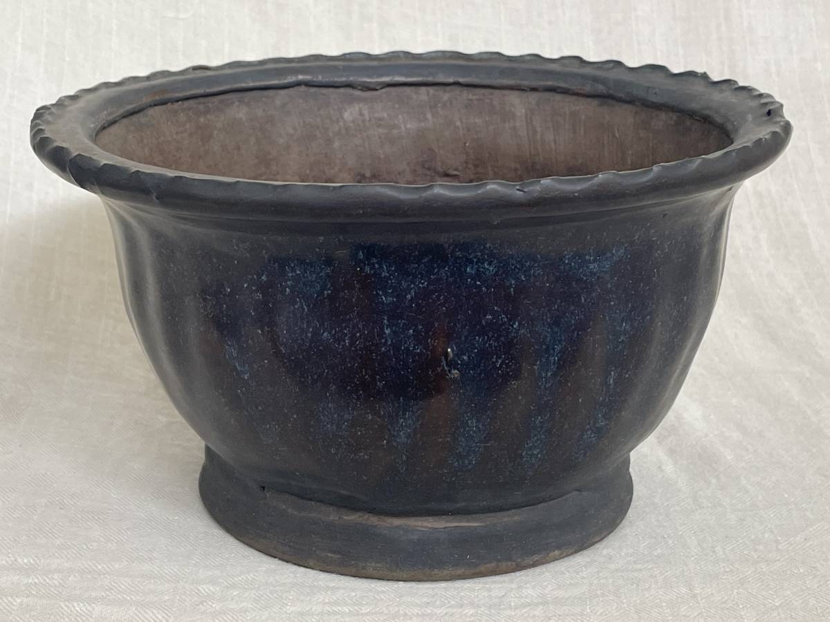 Yahoo!オークション -「盆栽鉢 古渡り」の落札相場・落札価格