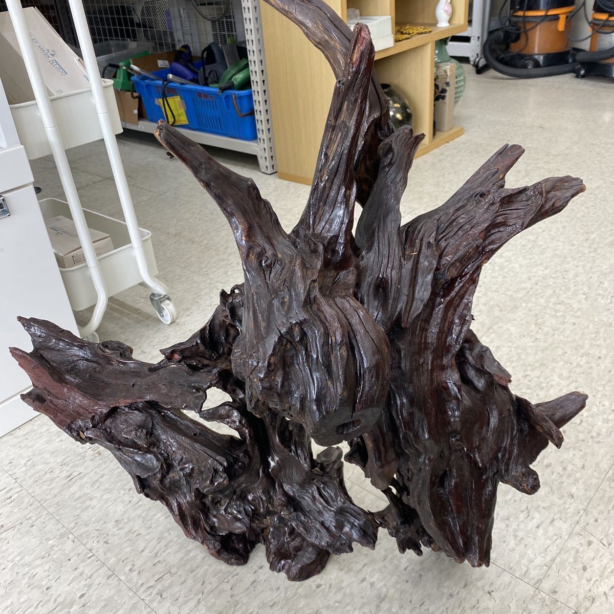 2-9-23-2流木 置物 天然木 和室の飾り 長さ約70cm高さ約73cm(木工、竹  