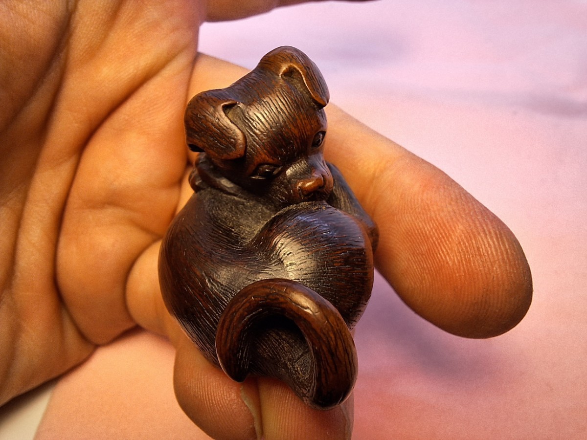 子犬 仔犬 根付 江戸時代 為隆銘 tametaka netsuke 名古屋スクール