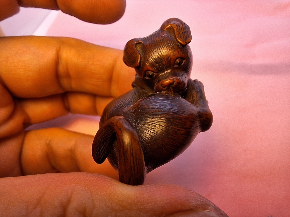 子犬 仔犬 根付 江戸時代 為隆銘 tametaka netsuke 名古屋スクール