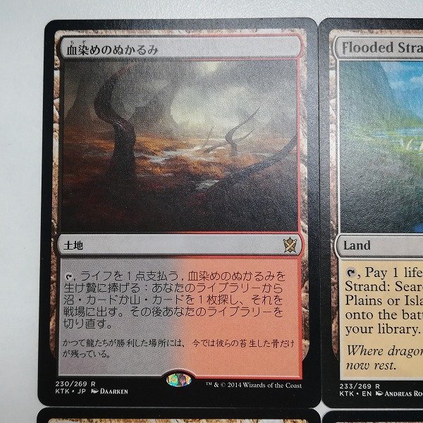 mtg 溢れかえる岸辺 吹きさらしの荒野 3枚セット MTG 吹きさらしの荒野