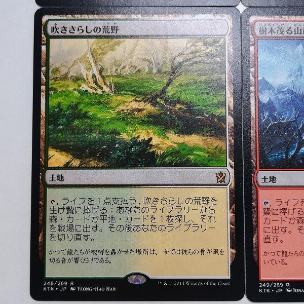 MTG溢れかえる岸辺血染めのぬかるみ吹きさらしの荒野3枚セット