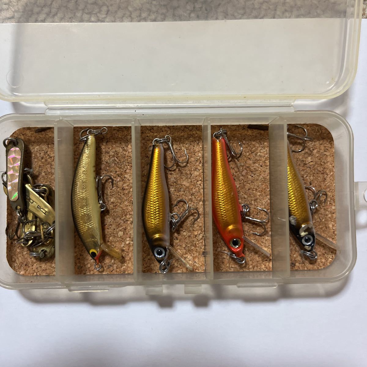 ザウルス ティーレックス レックス セット SAURUS Ty-rex twinkle 他