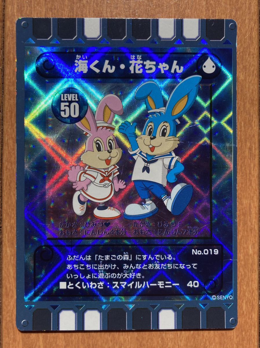 ぐるり森 キラ ひたち海浜公園限定カード 海くん 花ちゃんの入札履歴