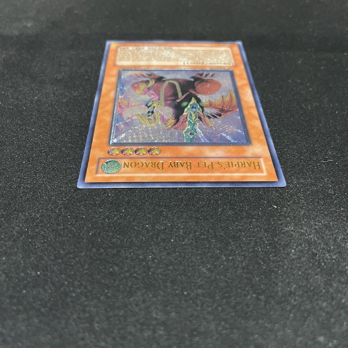 Harpie's Pet ハーピィズペット仔竜 Dragon Baby 遊戯王 : - ⁄ハーピィ