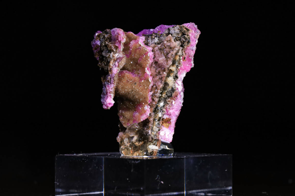 鳥の標本 稀有な共生美☆世界で最も重要なコバルトの産地 コンゴ産』 8g 明るく