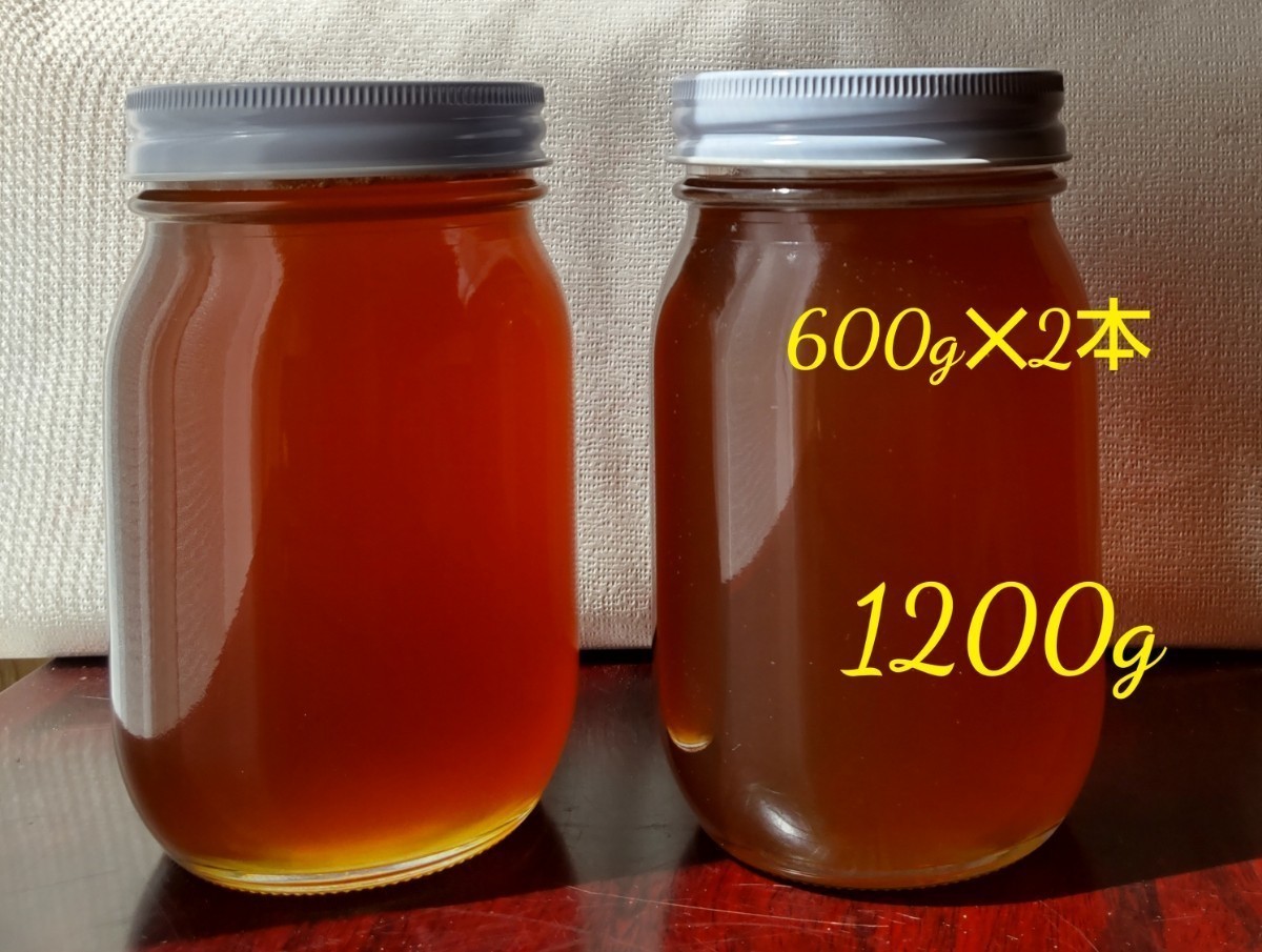 日本ミツバチ 蜂蜜 令和7年度 採れたて たれ蜜 2年もの1200g 非加熱