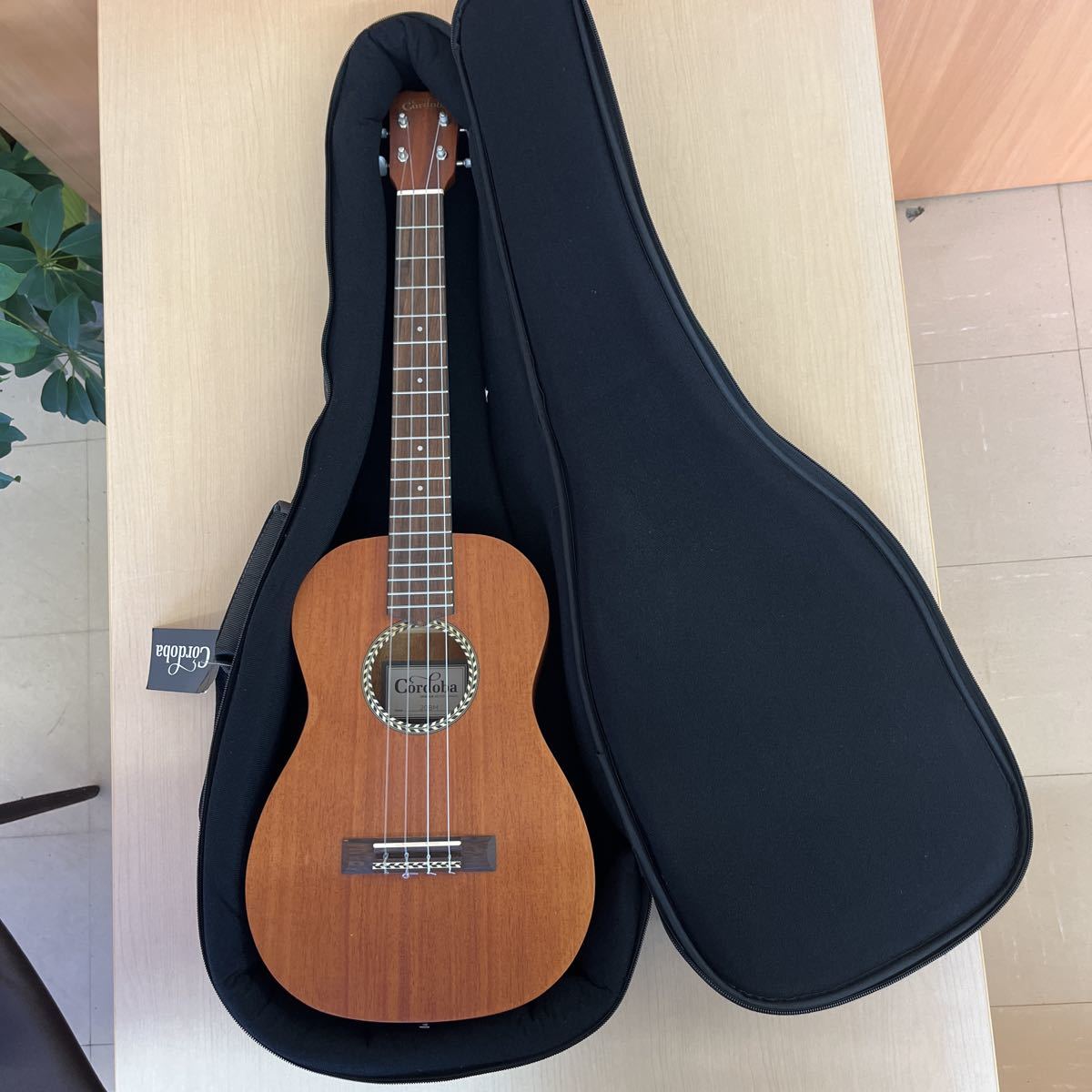 バリトンウクレレ コルドバ Cordoba 20BM 専用ソフトケース ギグバック 