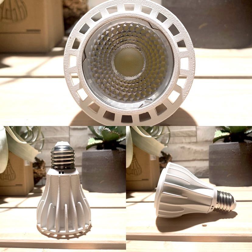 送料無料，定番人気 15W植物育成ライトGrowLight PAR20 6000K 3個