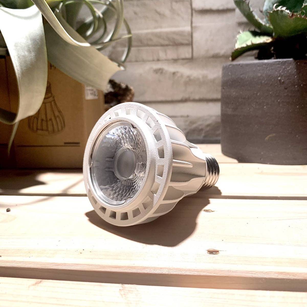 送料無料，定番人気 15W植物育成ライトGrowLight PAR20 6000K 3個