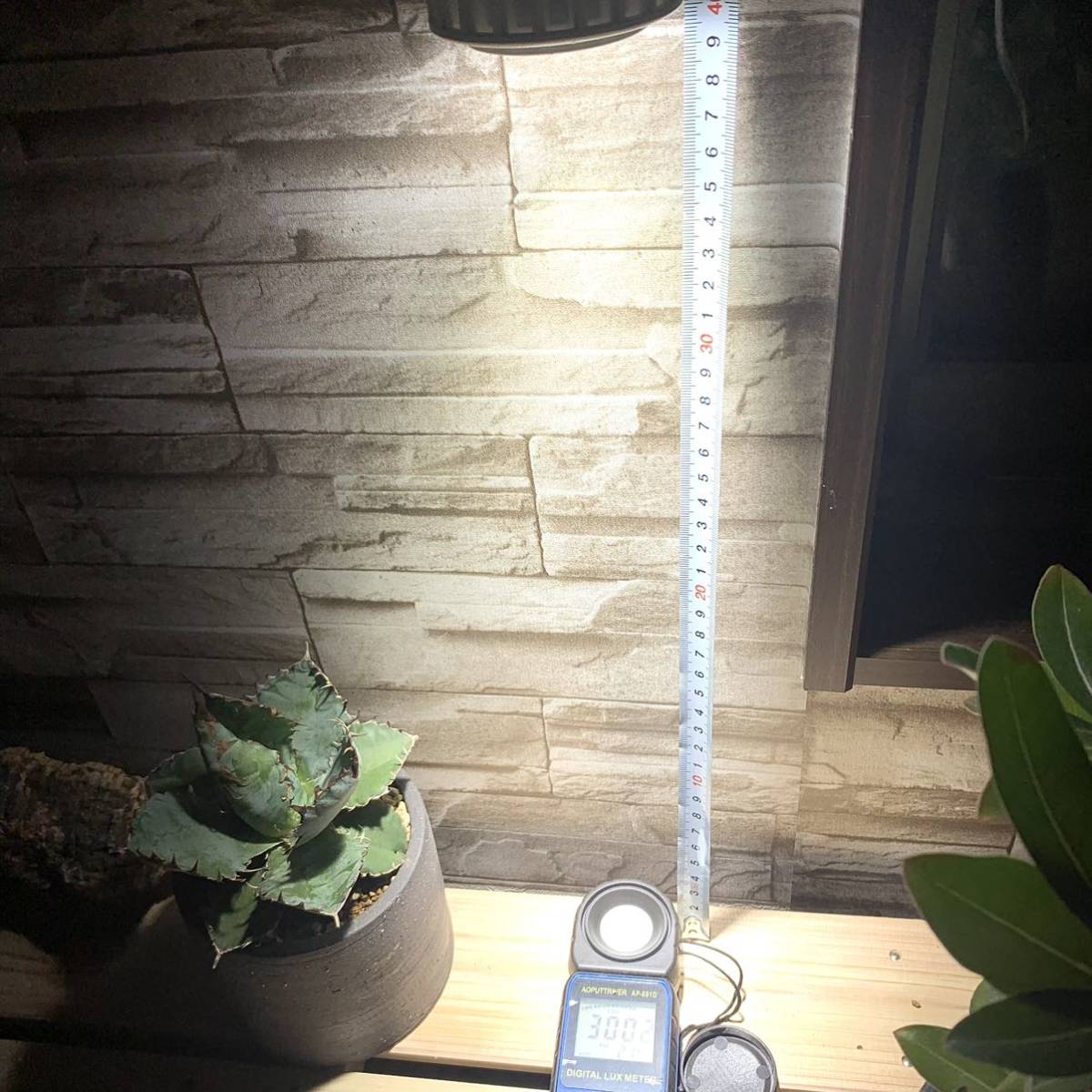 送料無料，定番人気 15W植物育成ライトGrowLight PAR20 6000K 3個