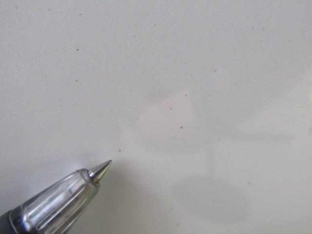 プリウス ZVW51 ZVW50 バックドア リアゲート 070 カメラ・スポイラー付 68105-47271 67005-47440 送料【L】個人宅配送不可