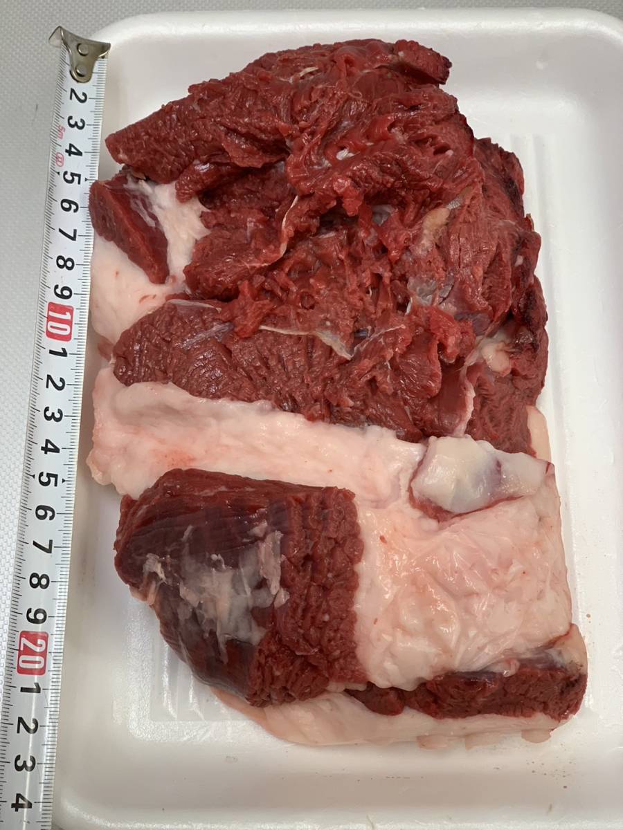 【ジビエ】ツキノワグマ 肩肉 1139g 品質&鮮度最高 熊肉
