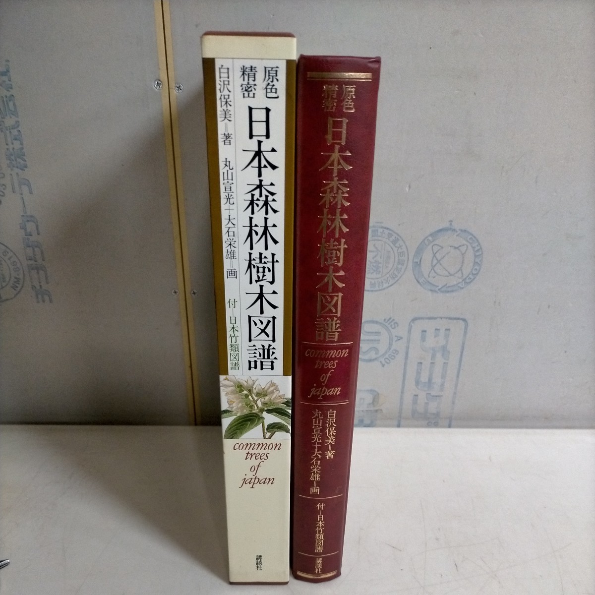 原色精密 日本森林樹木図譜 日本竹類図譜付　大型本 初版本 お得，低価 原色 精密 日本森林樹木図譜 付=日本竹類図譜 講談社