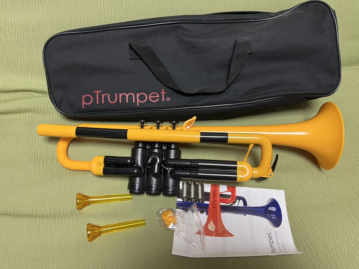 pInstruments ピーインストゥルメンツ プラスチック製管楽器