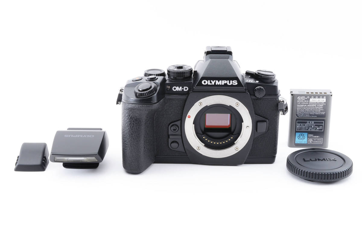 オリンパス OLYMPUS ミラーレス一眼カメラ ボディ フォーサーズ OM-D E 