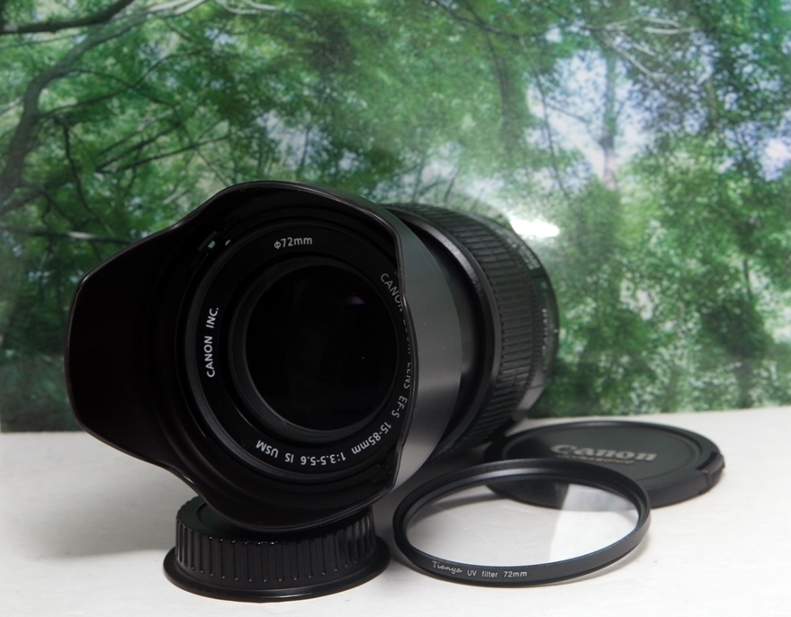 ☆手振れ補正する便利な超広角レンズ☆Canon EF-S 15-85mm IS USM 