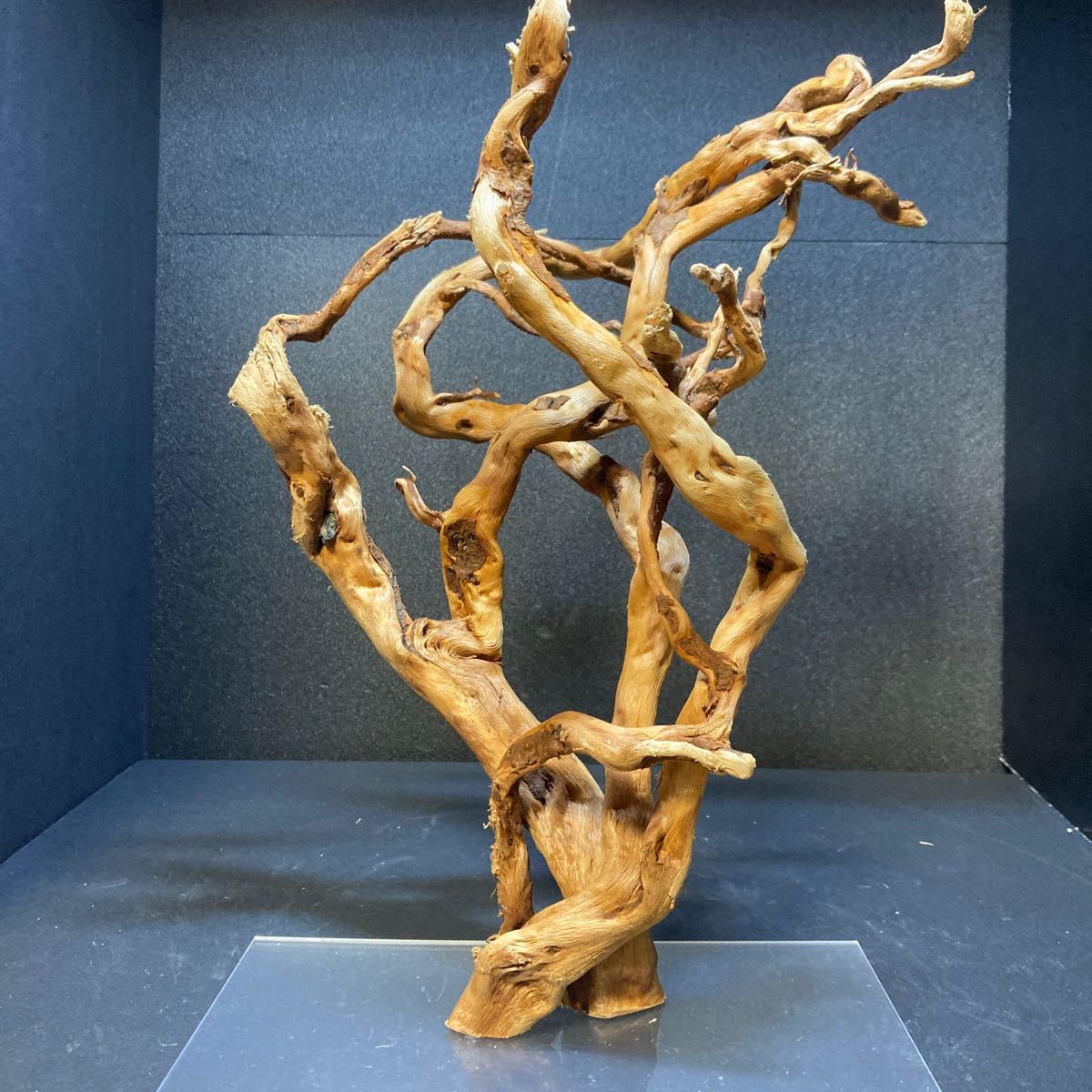 2026，新品 sea tree アクリル板施工済み流木 1334流木/水槽/アクアリウム/テラリウム/インテリア/ADA/サンゴ/置物/(水槽装飾品)｜売買されたオークション情報、yahooの商品情報をアーカイブ公開 - オークフ 水槽装飾品