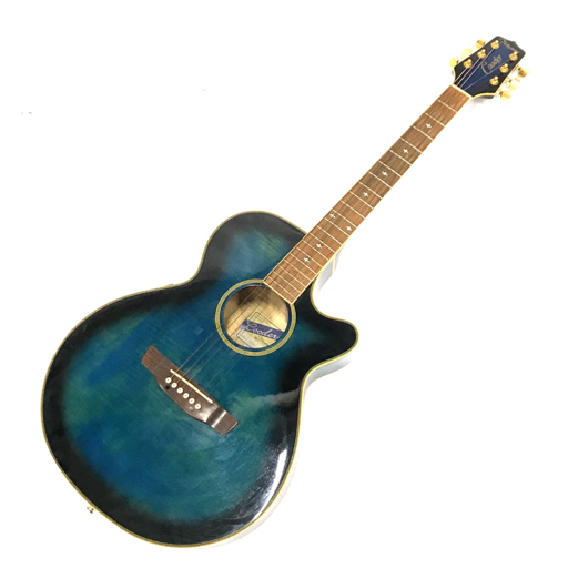 タカミネ TCP-550 エレキアコースティックギター エレアコ サン