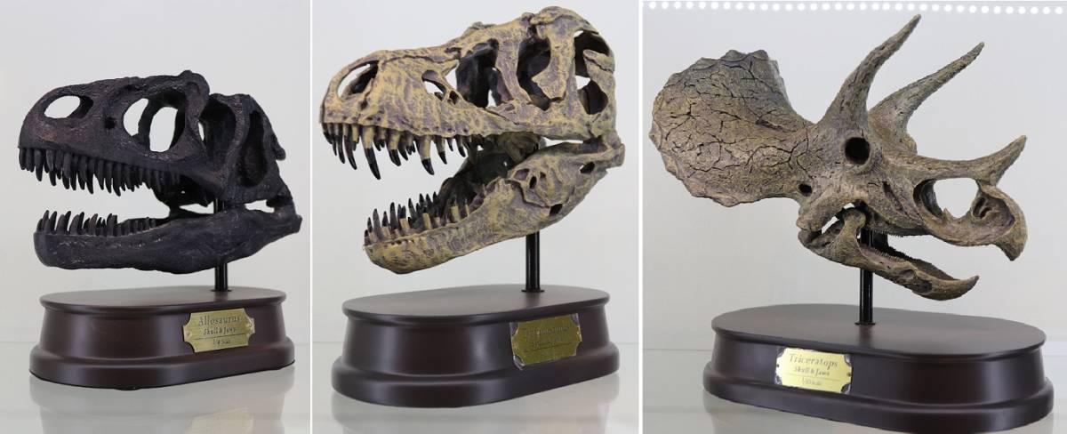 フェバリット スカル＆ジョーズモデル トリケラトプス  