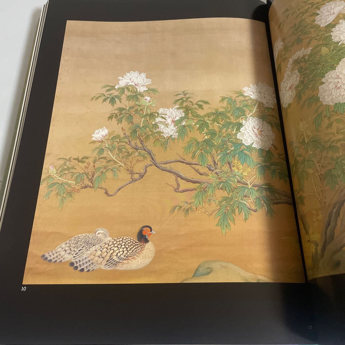 目黒雅叙園コレクション 近代の日本画 花鳥風月 細野正信 1990年 平成2