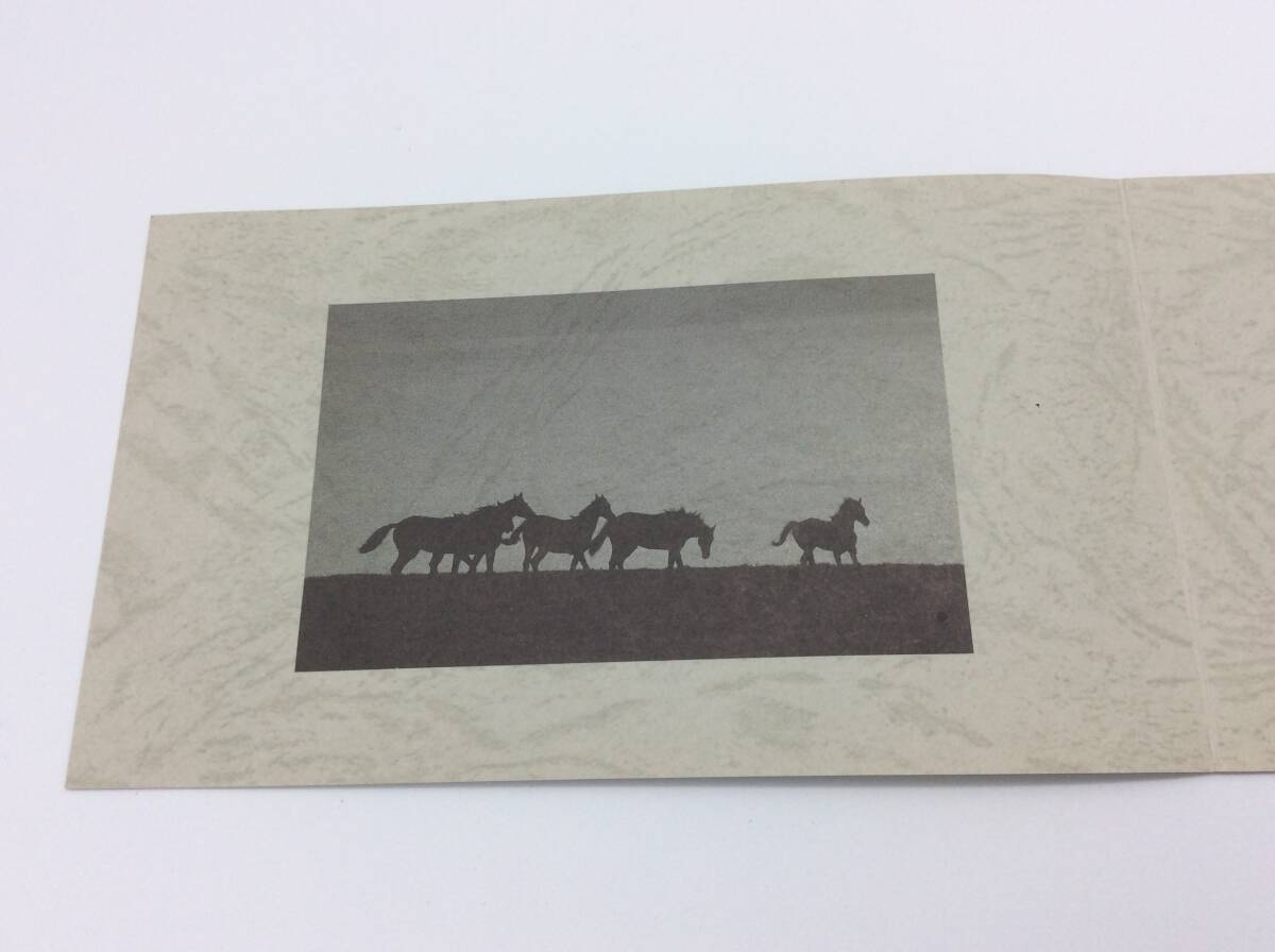 #6088 未使用50度数テレカ JRA トウカイテイオー 横浜二俣川電話投票所開設10周年記念テレホンカード 競走馬 競馬_3